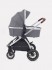 Коляска 2 в 1 Rant Cruise Koala Grey